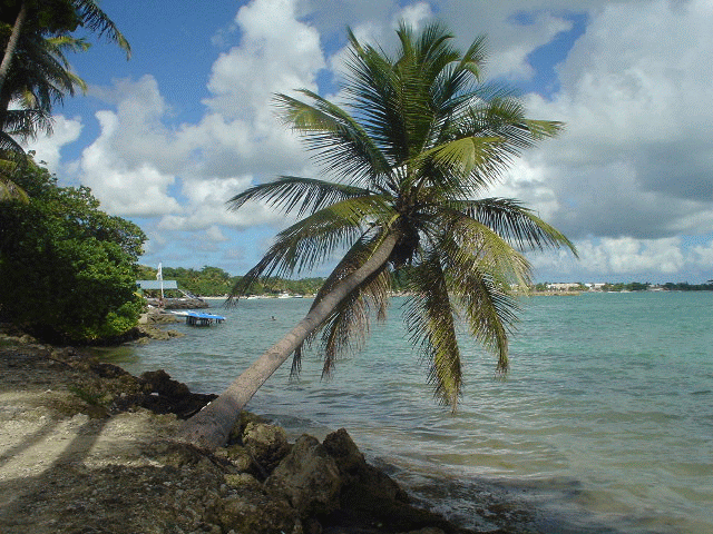 plage !