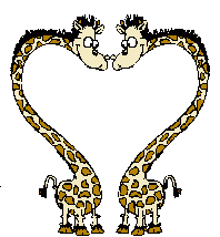 A les girafes !!