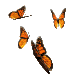 Les papillons